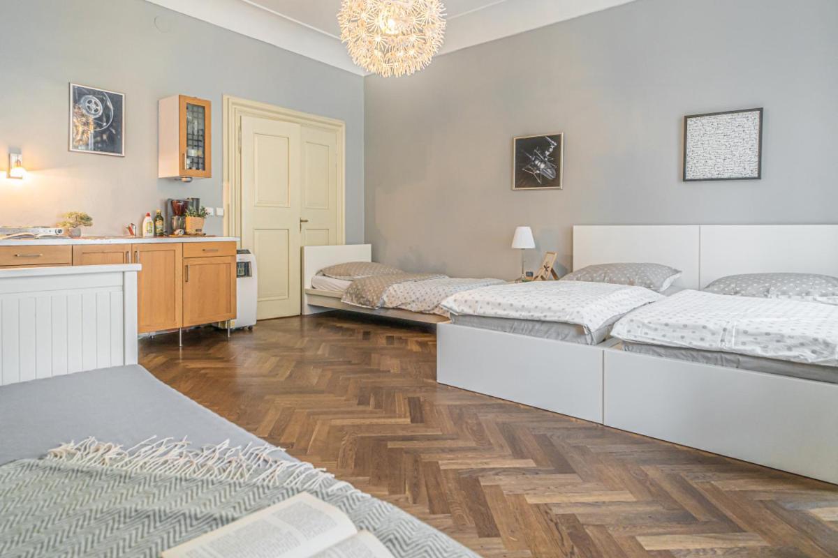 Bright Studio Close To Charles Bridge And Prague Castle Lägenhet Exteriör bild